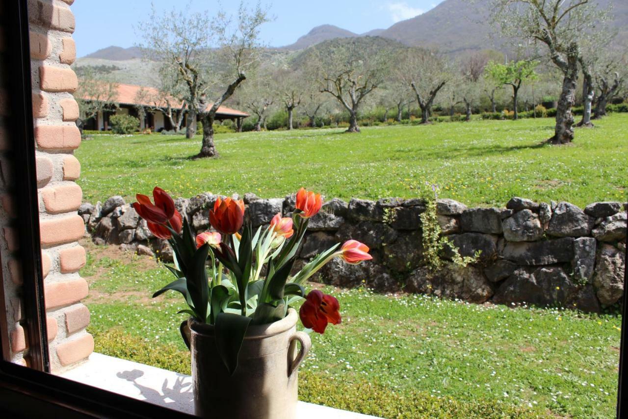 Agriturismo Il Castagneto Padula Eksteriør billede