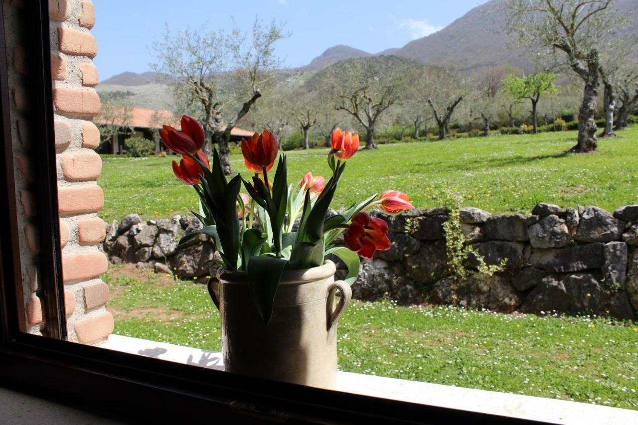Agriturismo Il Castagneto Padula Eksteriør billede