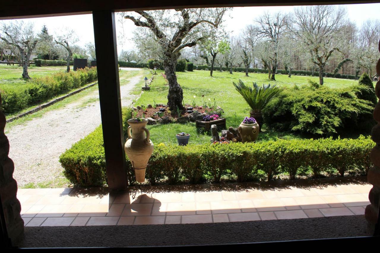 Agriturismo Il Castagneto Padula Eksteriør billede