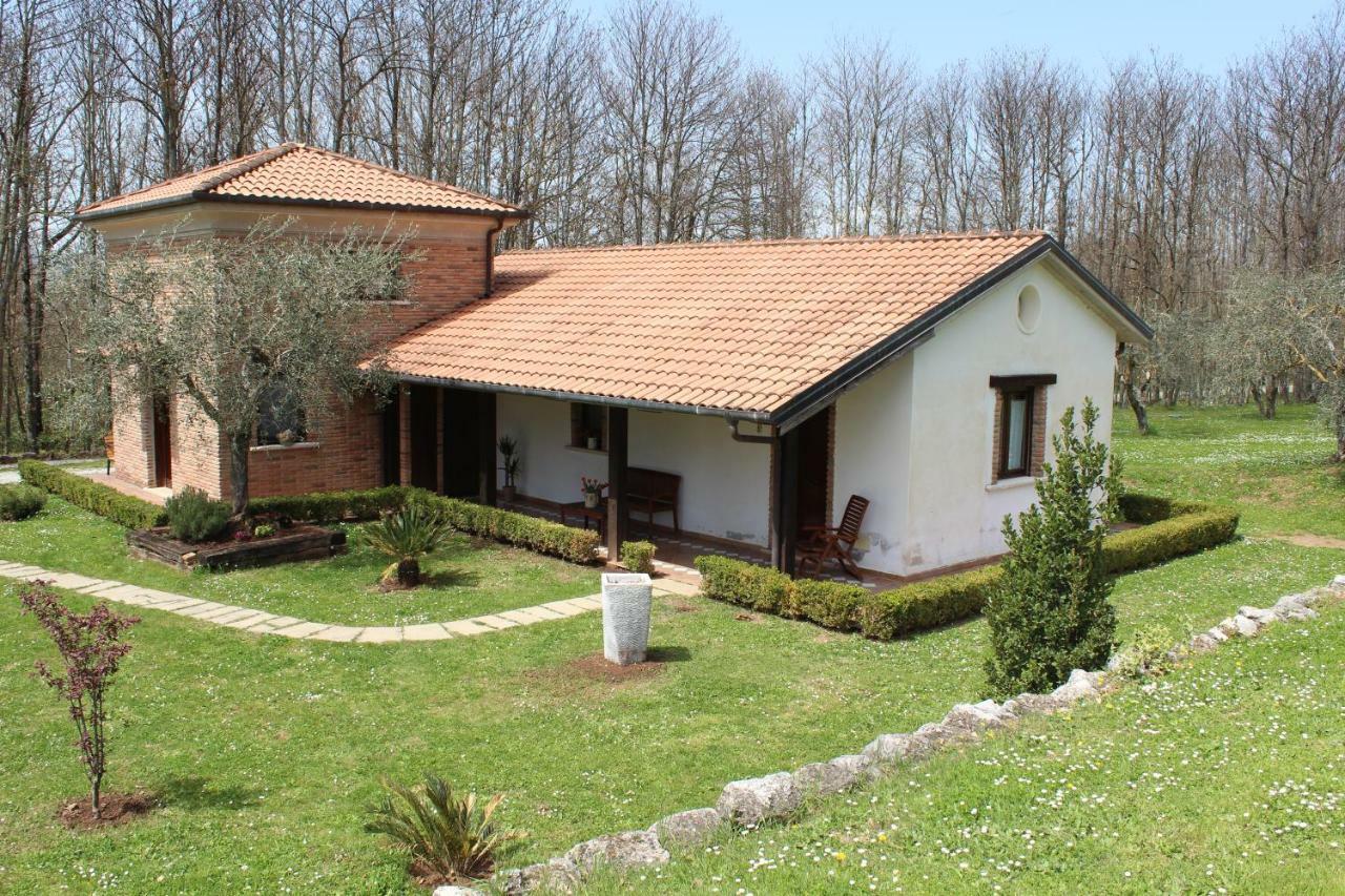 Agriturismo Il Castagneto Padula Eksteriør billede